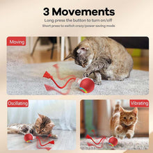 Load image into Gallery viewer, Interactive Rechargeable Ball Cat &amp; Dog Toy