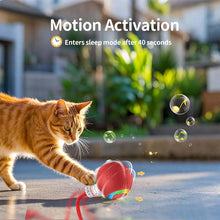 Load image into Gallery viewer, Interactive Rechargeable Ball Cat &amp; Dog Toy
