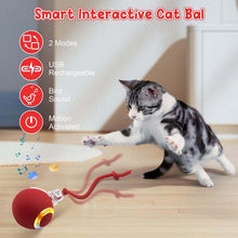 Load image into Gallery viewer, Interactive Rechargeable Ball Cat &amp; Dog Toy
