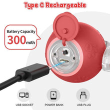 Load image into Gallery viewer, Interactive Rechargeable Ball Cat &amp; Dog Toy