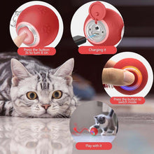 Load image into Gallery viewer, Interactive Rechargeable Ball Cat &amp; Dog Toy