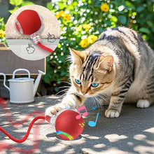 Load image into Gallery viewer, Interactive Rechargeable Ball Cat &amp; Dog Toy