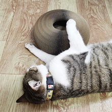 Load image into Gallery viewer, Magic Organ Cat Scratching Board